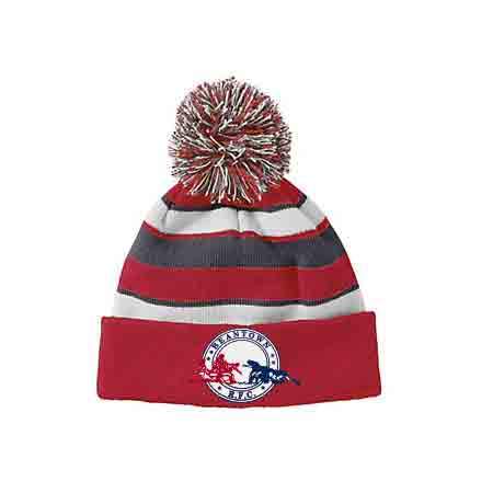 Beantown Pom Pom Beanie